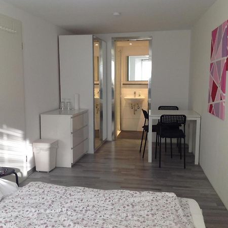 Stadtmitte Ferienwohnung Waldshut Bagian luar foto